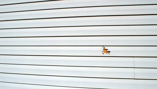 Affordable siding repair and maintenance services in Mount Shasta, CA